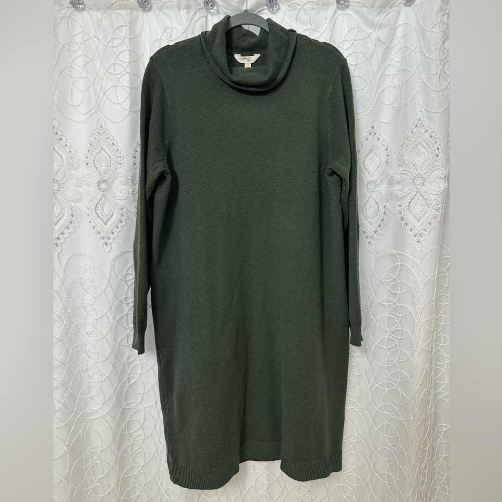 Turtleneck Sweater Dress